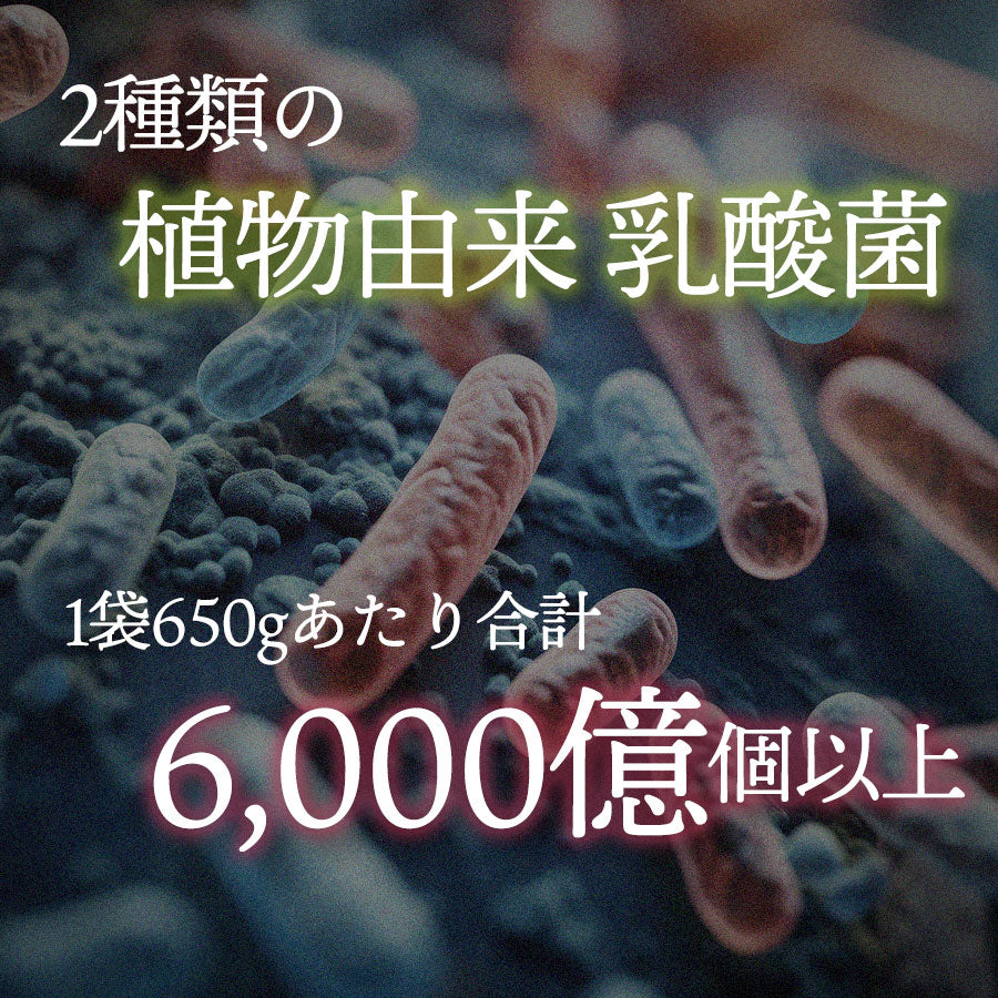 植物由来の乳酸菌 6,000億個 以上使用