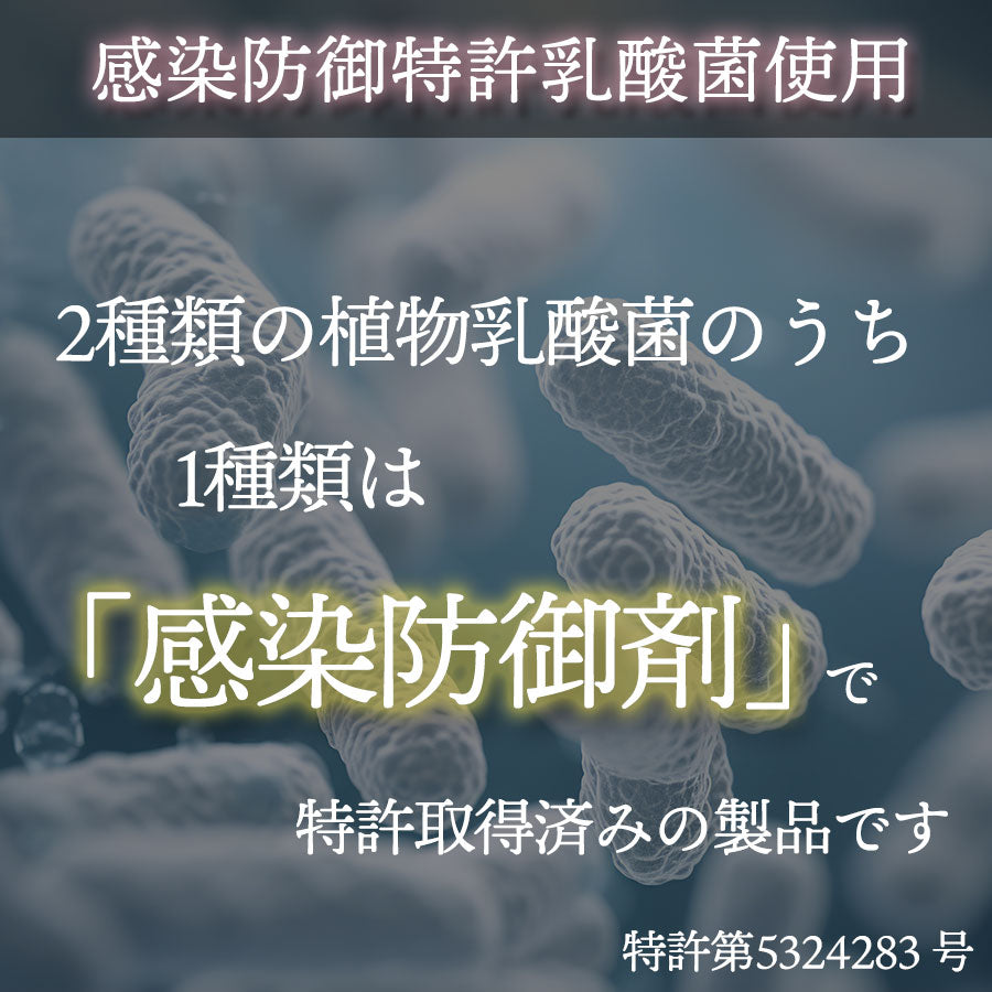 感染防除乳酸菌使用