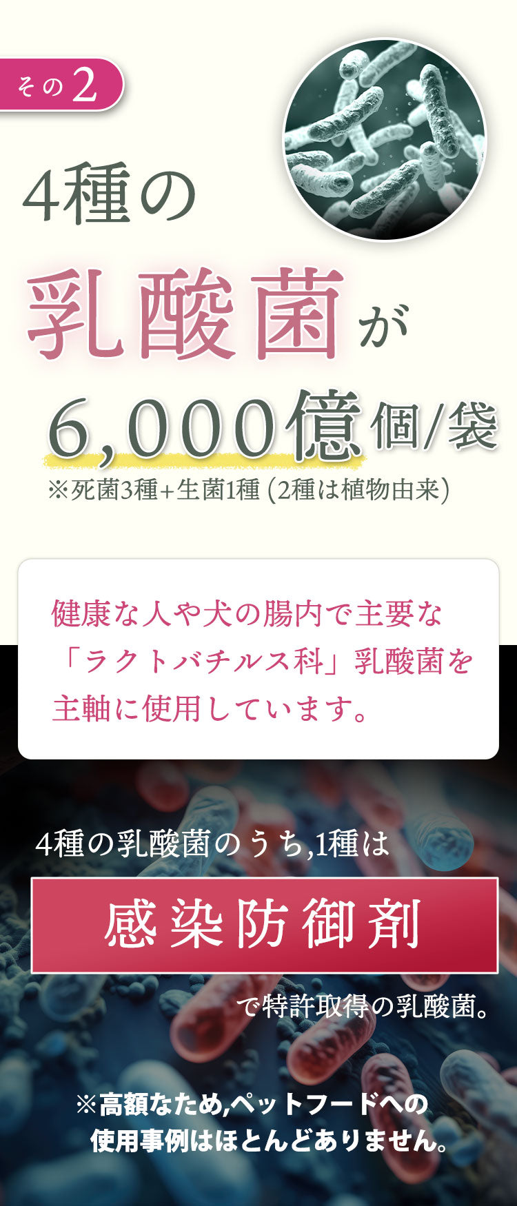 4種の乳酸菌 6,000億cfu/袋を配合しています。ドッグフードへの使用実績のほとんどない、高額な乳酸菌も含有しています。