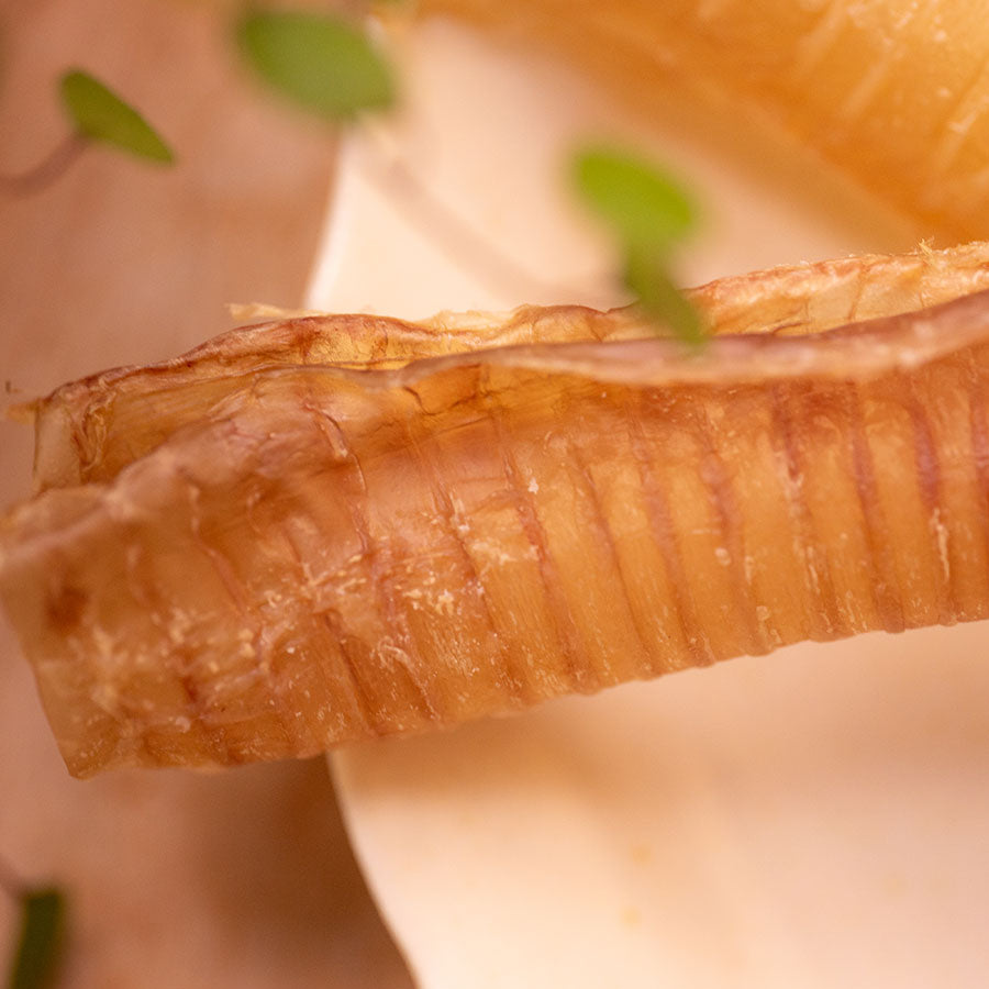 鹿の気道ジャーキー(犬用)