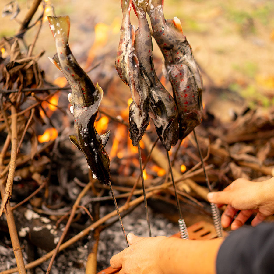高級魚「芸北アマゴ」お買い得パック(犬用/猫用)