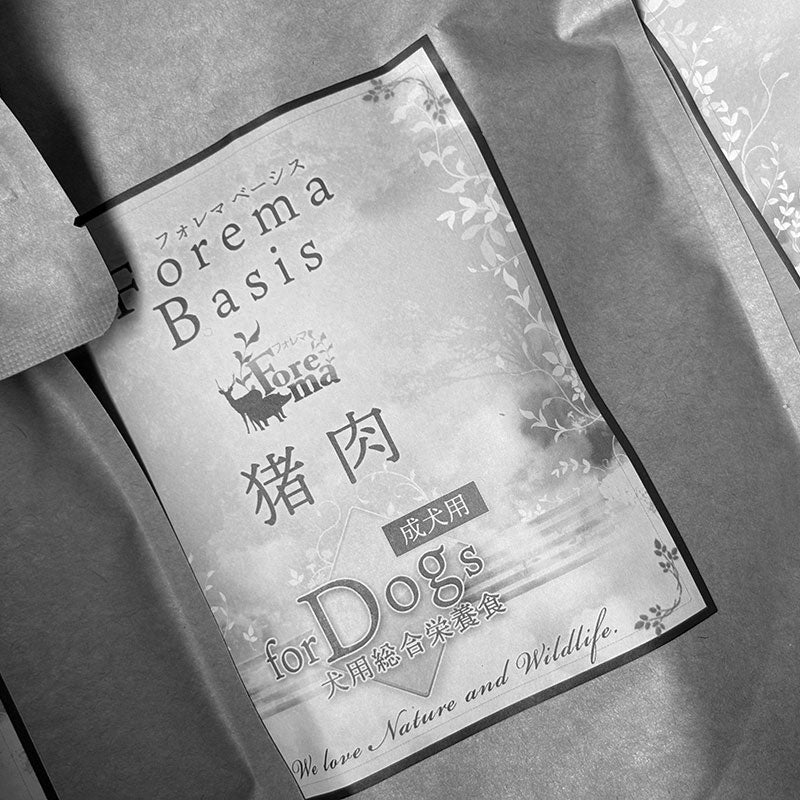 【アウトレット】犬用 総合栄養食 Forema Basis 猪 (650g)