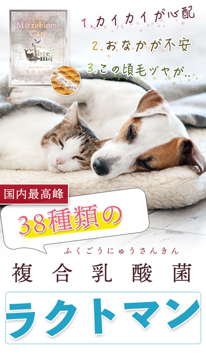 38種類の乳酸菌サプリ(犬猫用)-ラクトマン