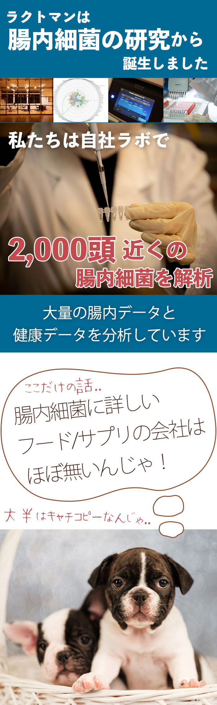 ラクトマンは、Foremaの腸内細菌研究から誕生したサプリです。