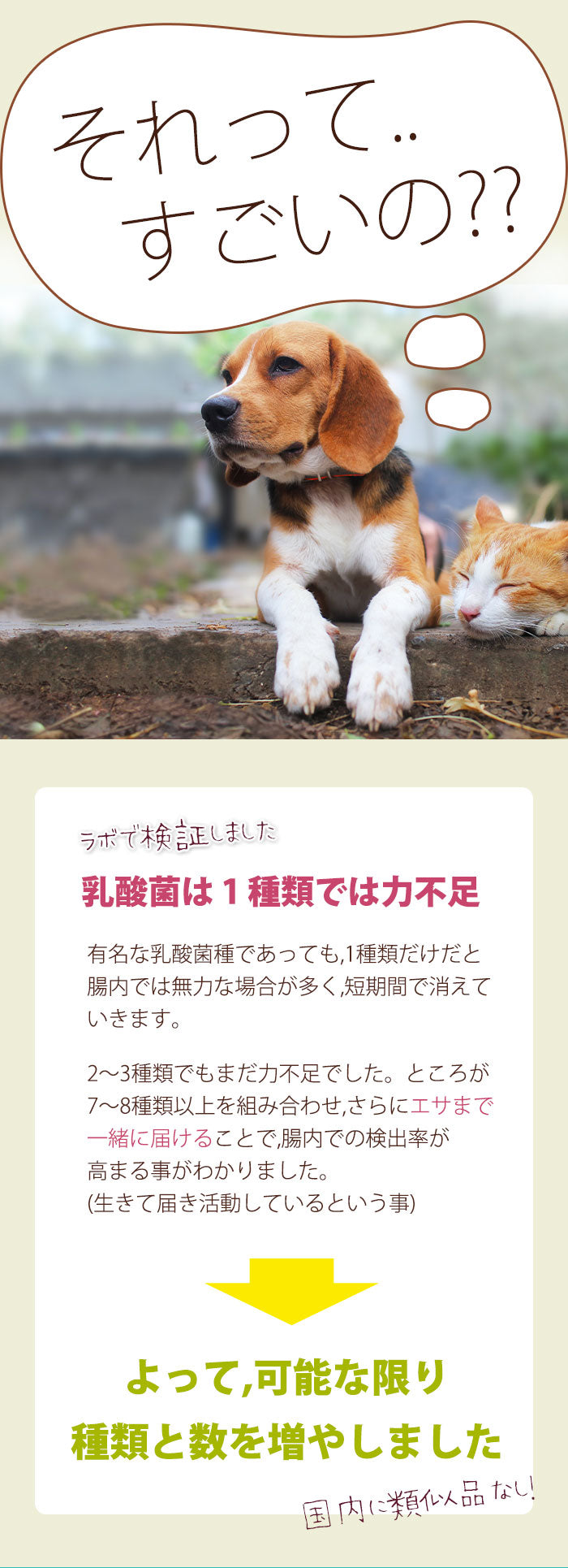 乳酸菌は1種類では力不足ですが、複数種を組み合わせる事で良い働きをする事が分かってきました。