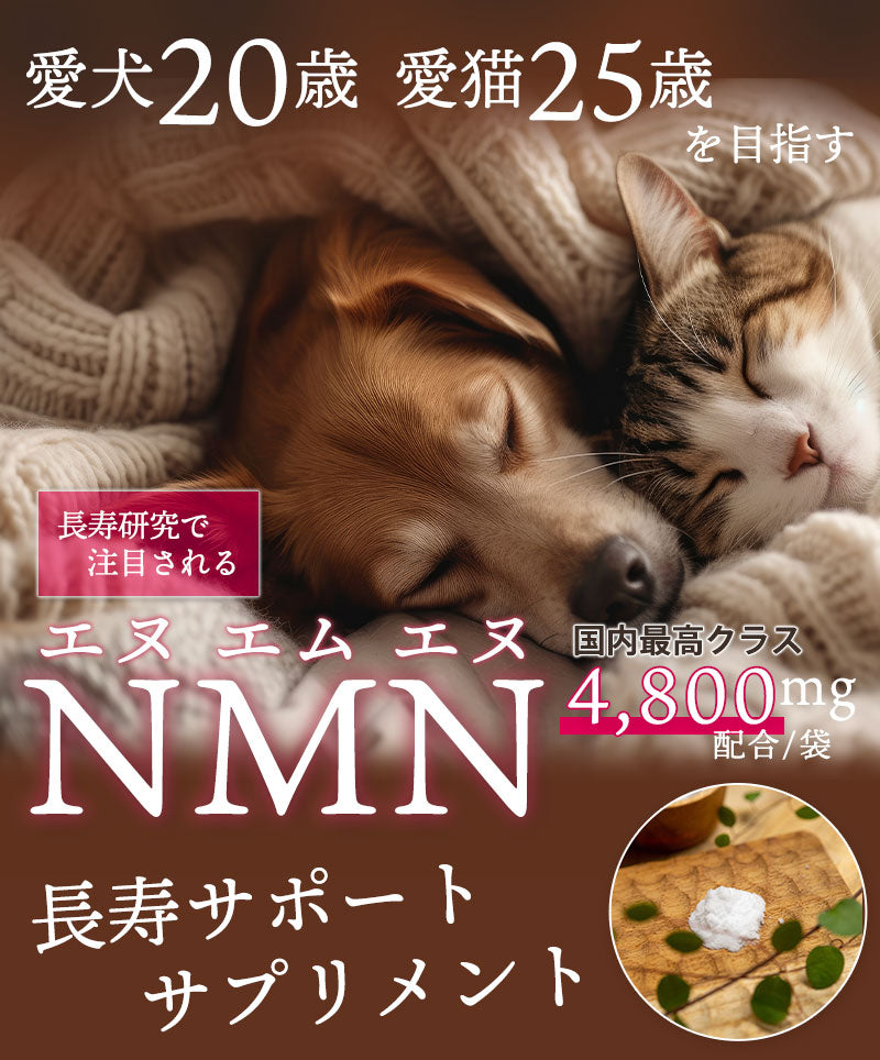 愛犬/愛猫用のNMNサプリ DC2025-NMN
