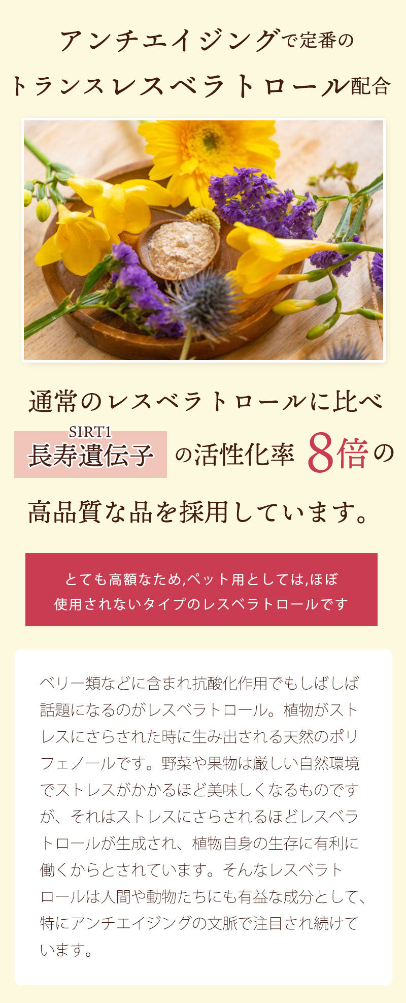 サーチュイン遺伝子SIRT1活性化率8倍のレスベラトロールを使用しています