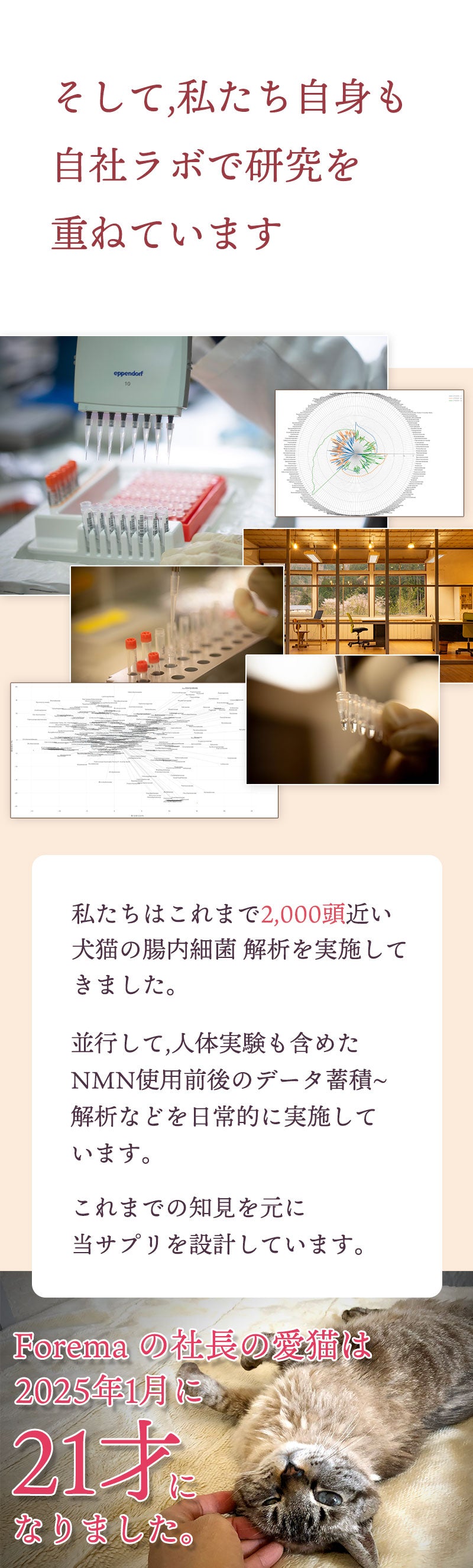 私たちは自社ラボで腸内細菌の研究や、NMNの使用による変化を検証しています。