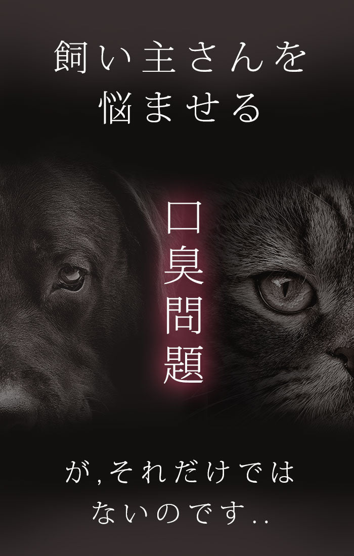 飼い主さんを悩ませる口臭問題