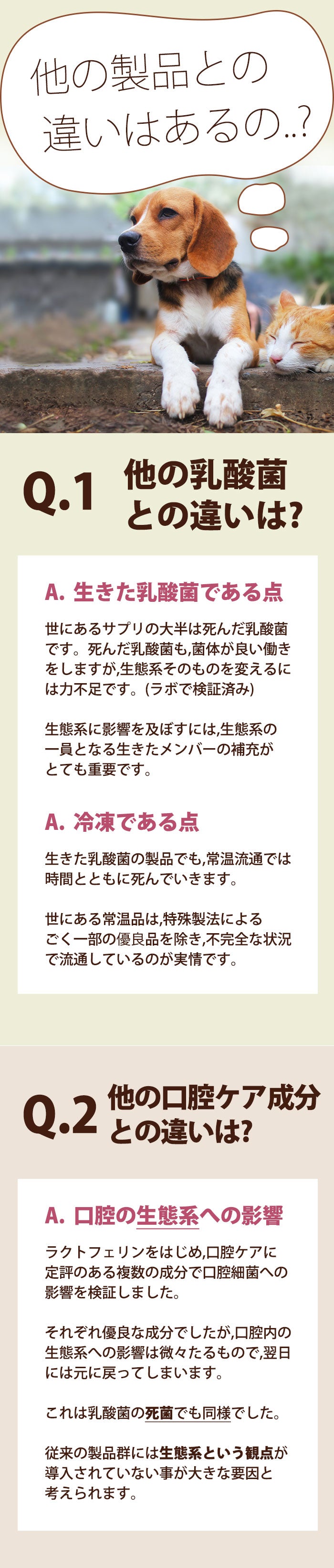 他の乳酸菌サプリとの違いは、生きた高濃度の乳酸菌を冷凍でお届けする点。また、口腔内の微生物生態系を見据えている点が特徴です。