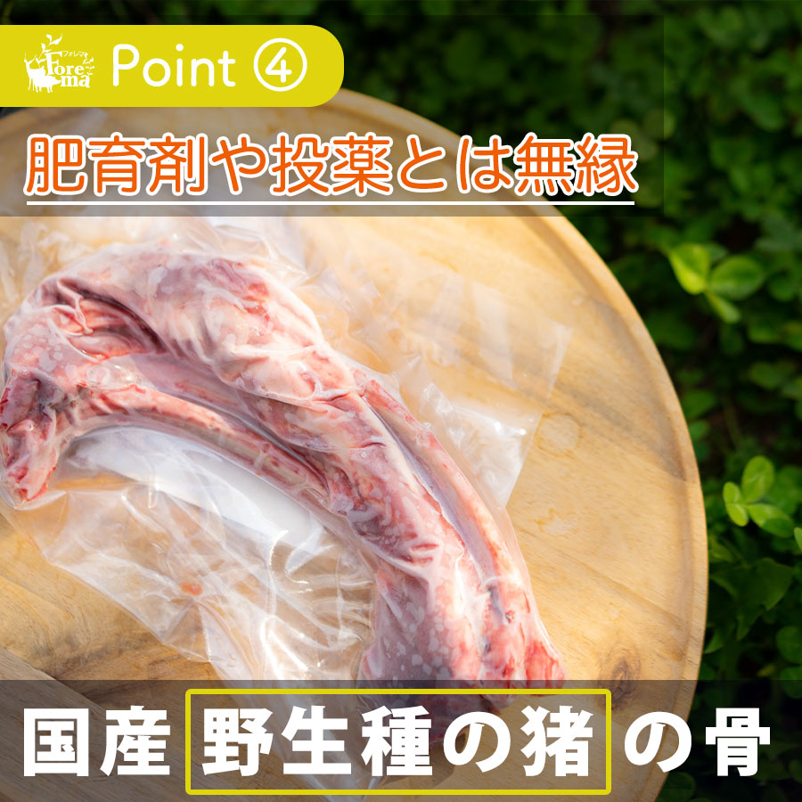 国産野生種の猪のアバラ骨ジャーキー