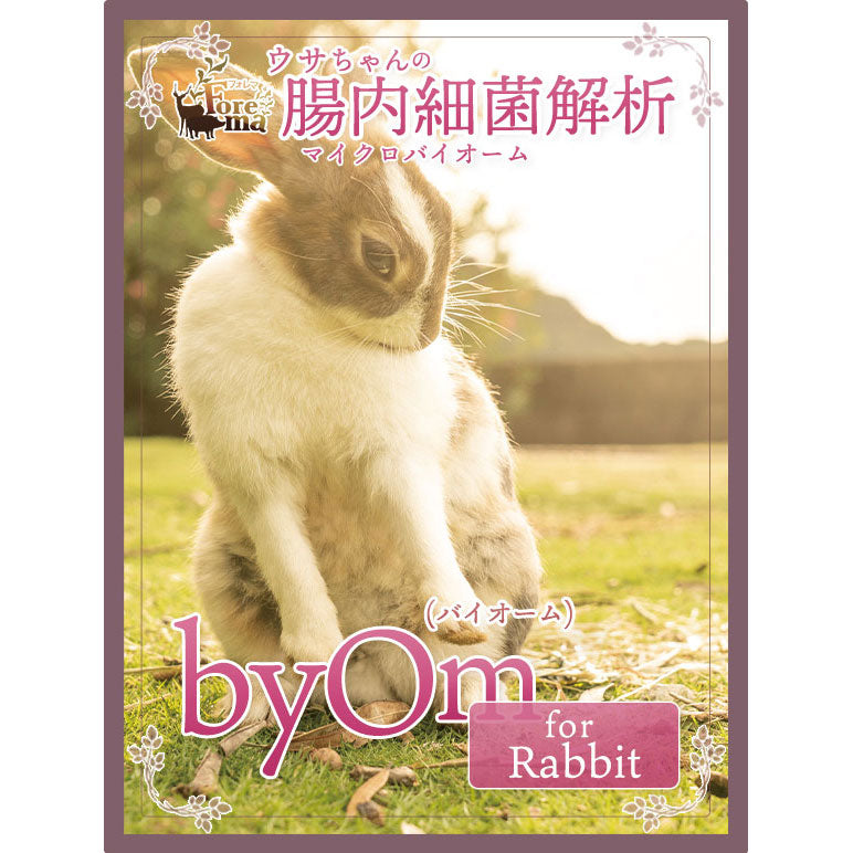 ウサギの腸内フローラ検査