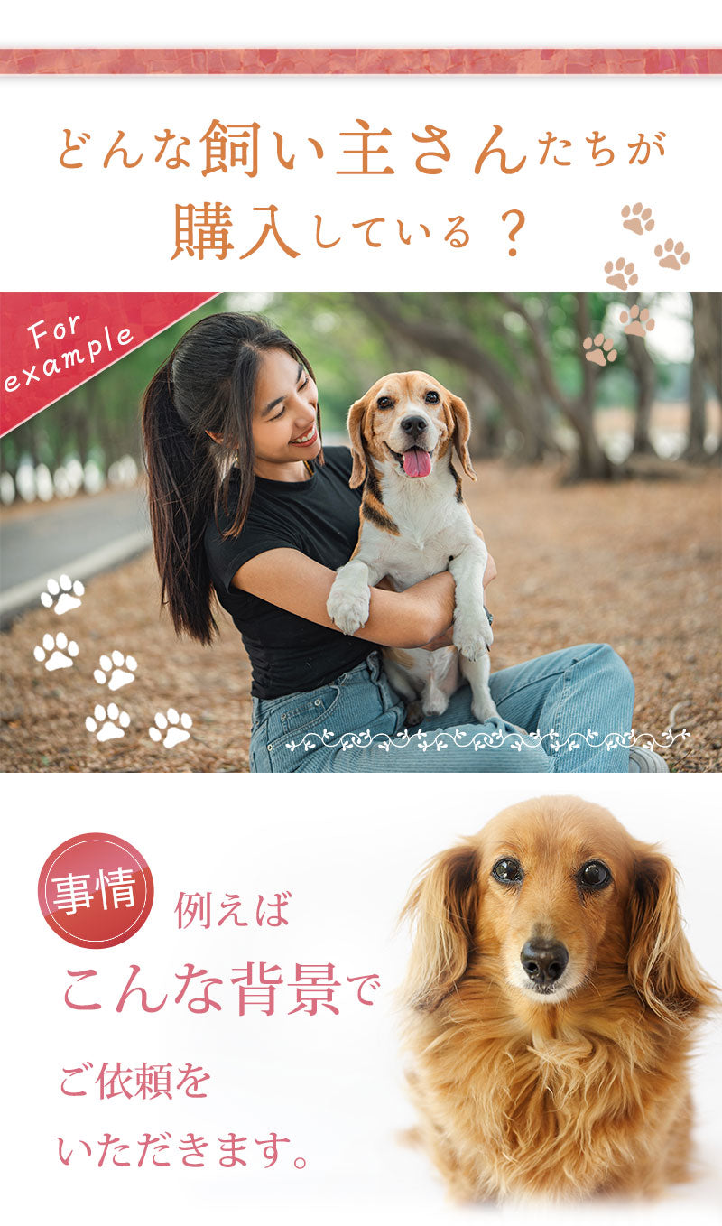 どんな飼い主さんたちが腸内フローラ検査を申し込むの? 例えばこんな背景でご依頼をいただいています。