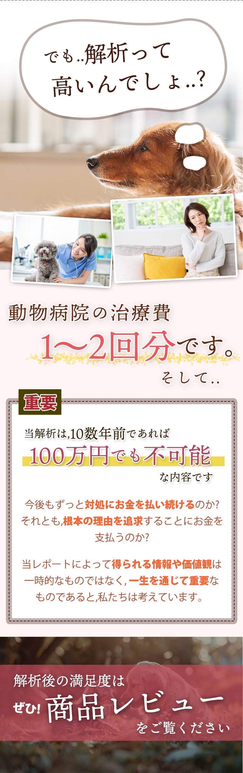 腸内細菌解析/腸内フローラ検査の価格は、動物病院の治療費1,2回分程度の価格です。解析の感想などは、商品レビューをご参照下さい。