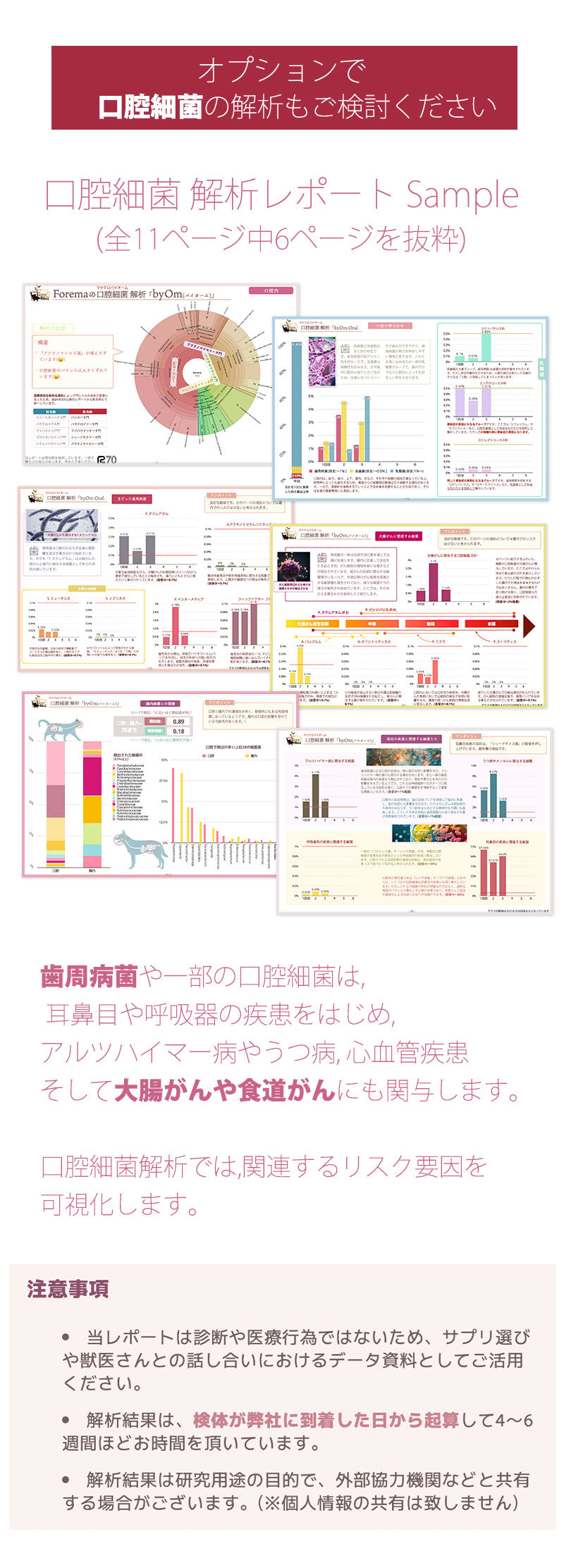 口腔細菌の解析もご検討ください。歯周病菌の抑制は健康長寿にとって重要な選択です。