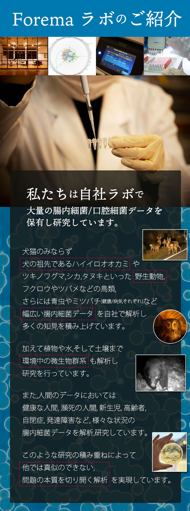 Forema ラボのご紹介。私たちは自社ラボで大量の腸内細菌/口腔細菌の解析データを保有し、日々研究しています。