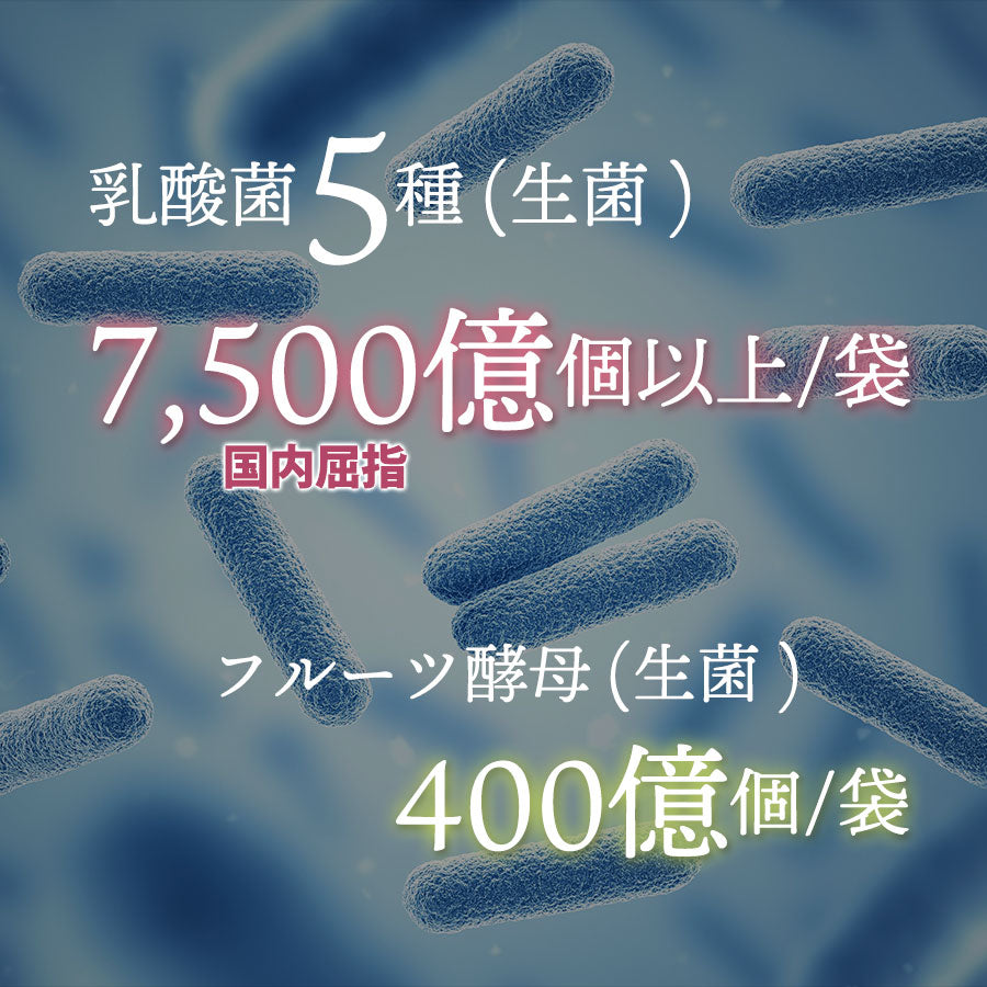 口腔用の乳酸菌5種