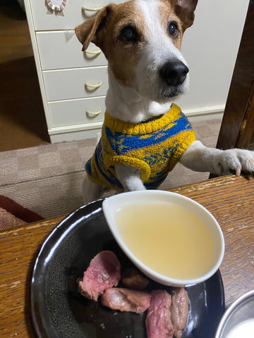食いつき | #1170285