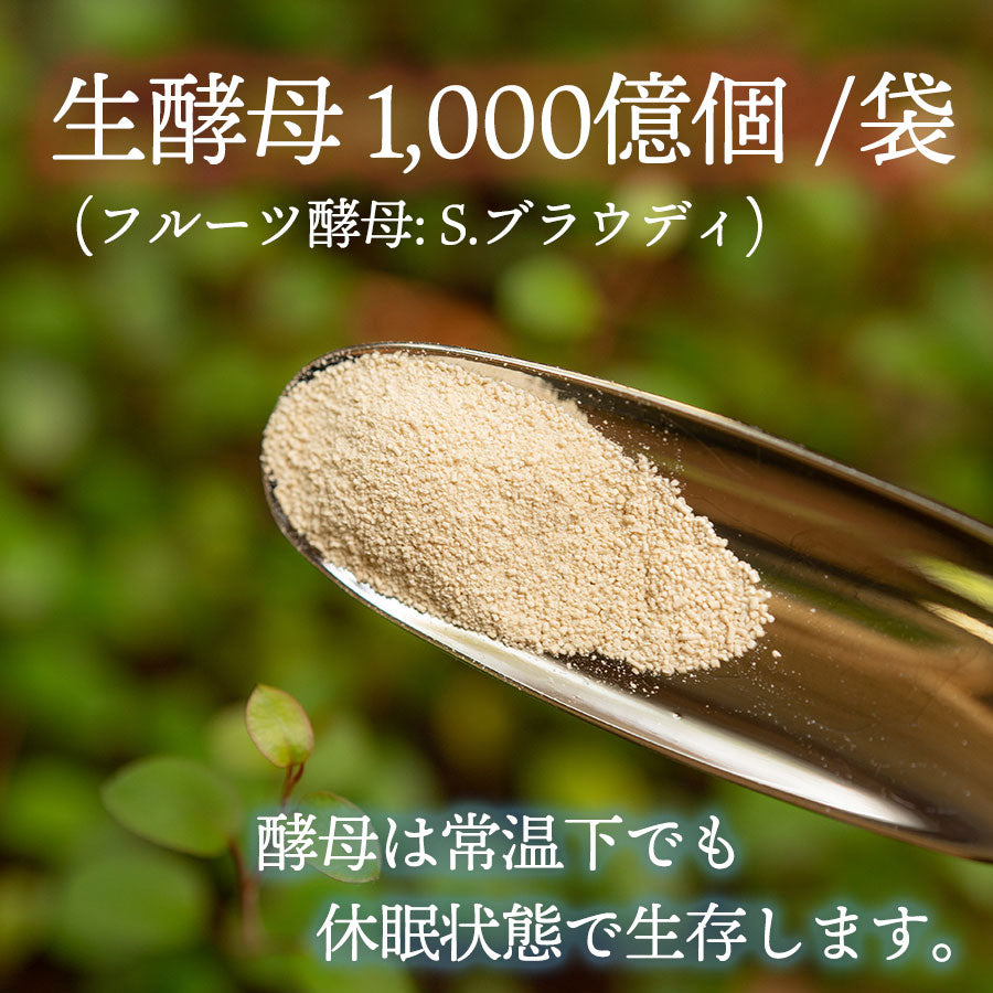 生きたフルーツ酵母を1,000億個使用
