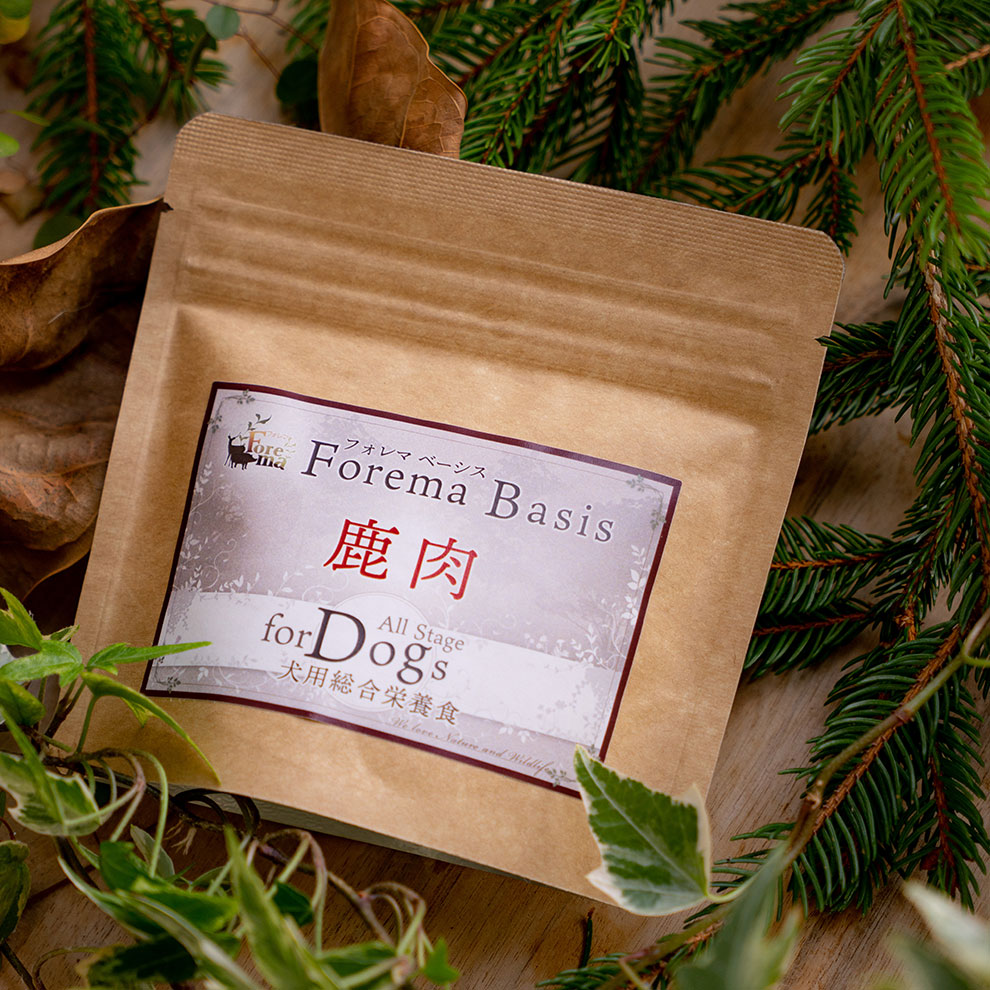 【犬用】お試しサイズ Forema Basis 鹿 (40g)