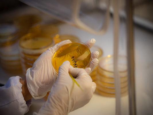 遺伝性の疾患と 腸内細菌