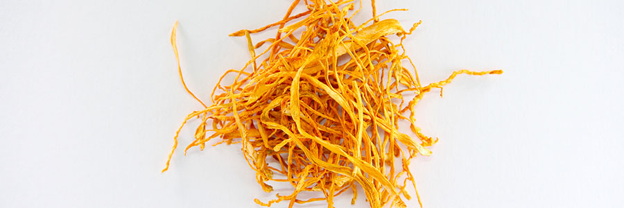 冬虫夏草は本当に効くのか?