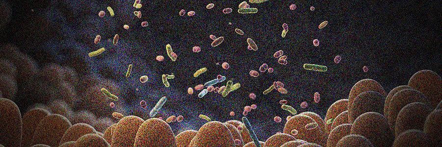 盲腸切除で大腸癌リスクが増加?