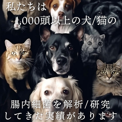 「byOm(バイオーム)」愛犬/愛猫の腸内細菌解析