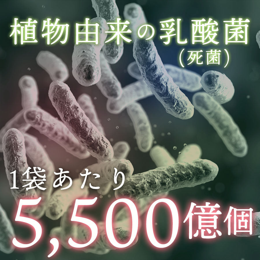 植物由来の乳酸菌を1袋あたり5,500億個使用