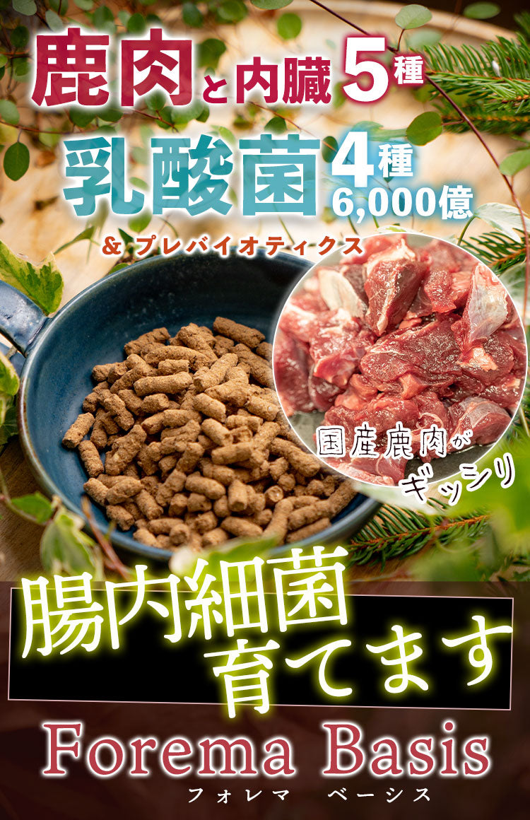 鹿肉と乳酸菌のドッグフード