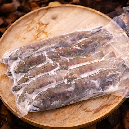 芸北産のヤマメ