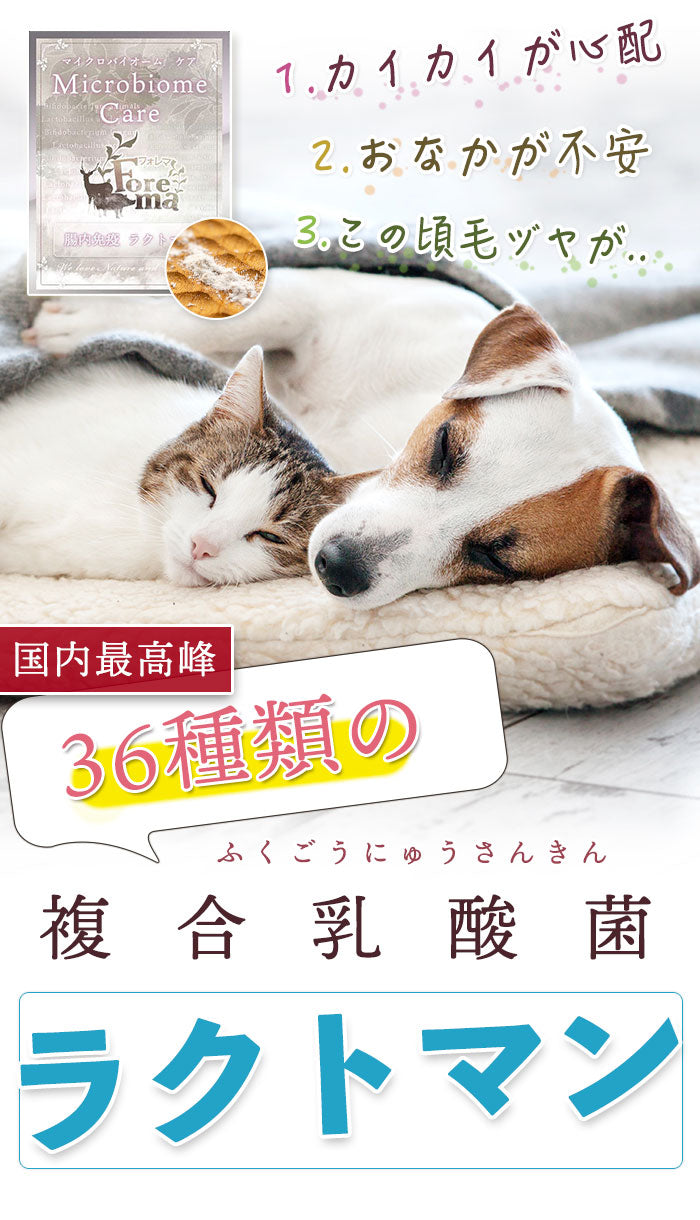 犬用/猫用の生きた乳酸菌サプリ「ラクトマン」 – Forema - フォレマ