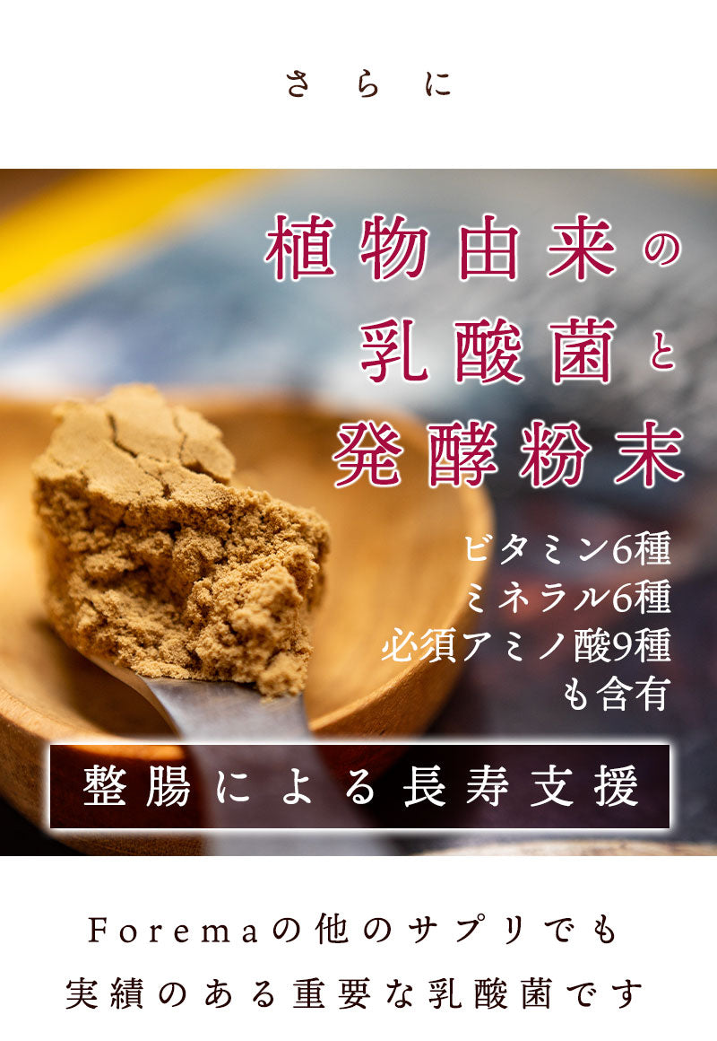 植物乳酸菌で、整腸による長寿のお手伝い