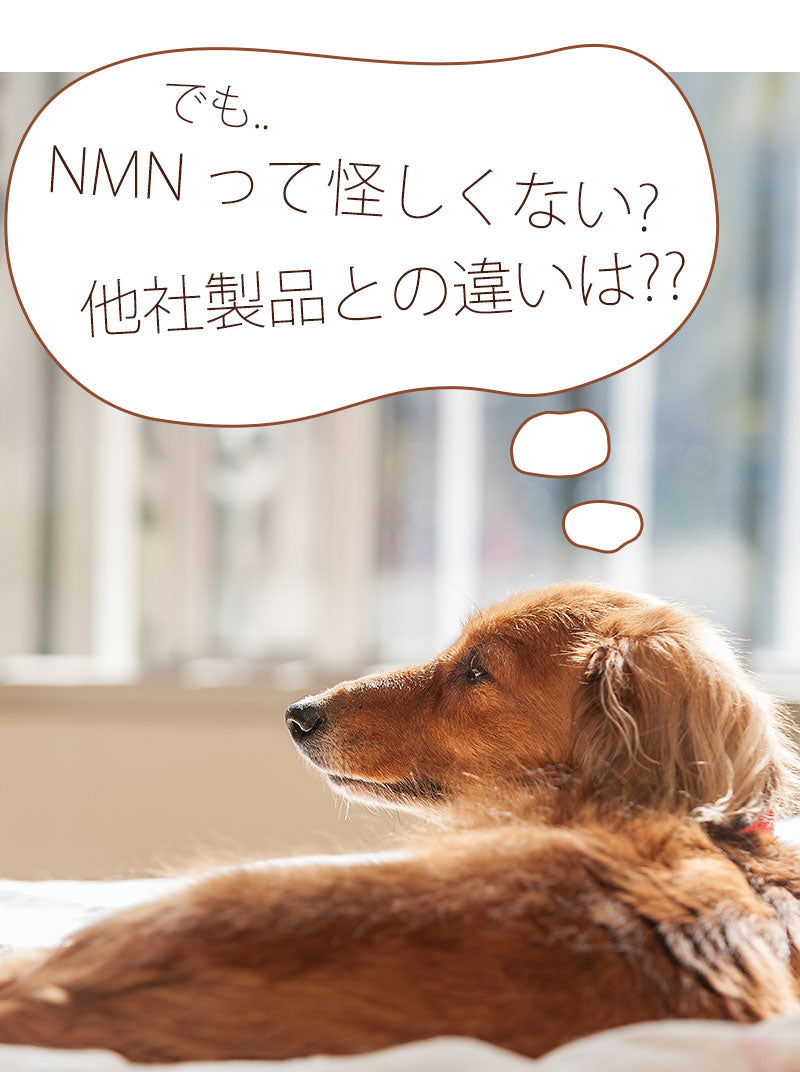 NMNって怪しくない?