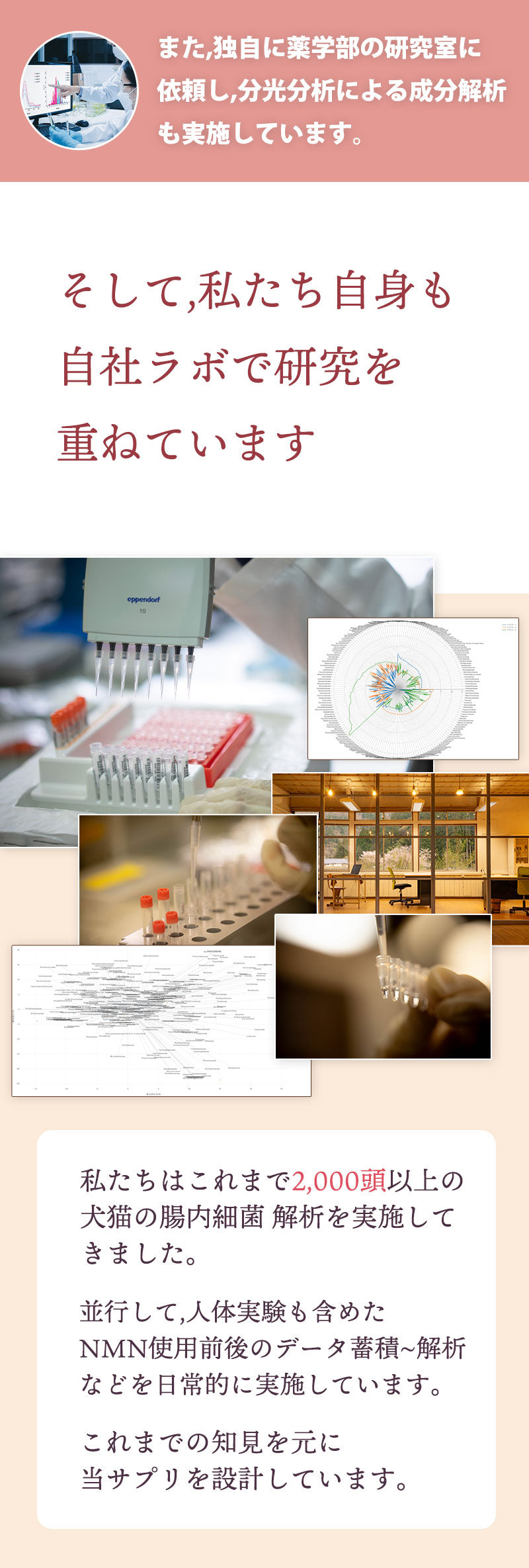 私たちは自社ラボで腸内細菌の研究や、NMNの使用による変化を検証しています。