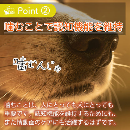 噛むことで認知機能を維持。アバラ骨ジャーキー