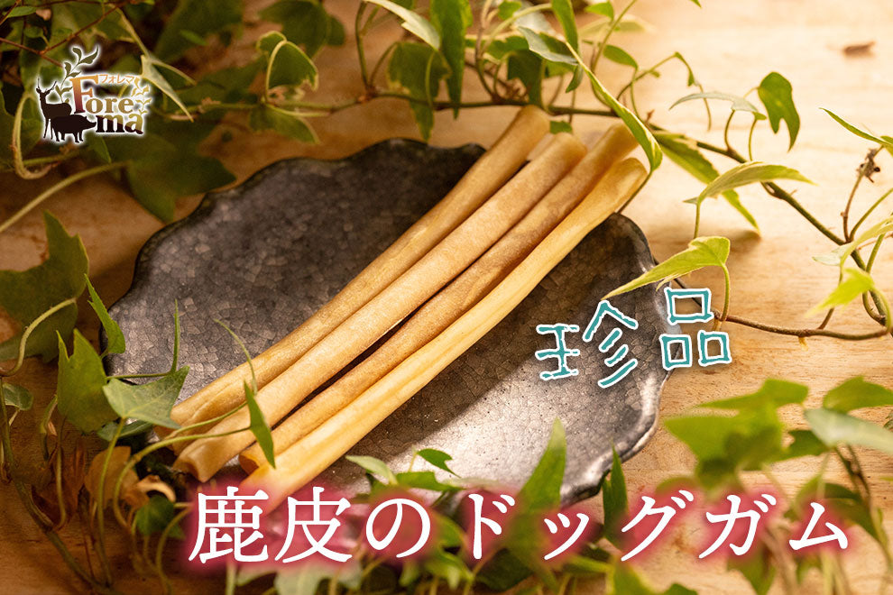 鹿皮のドッグガム