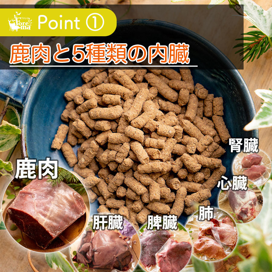 【犬用】お試しサイズ Forema Basis 鹿