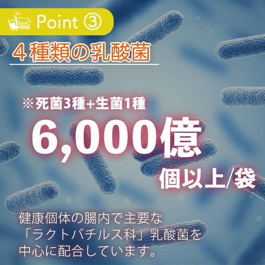 4種の乳酸菌を配合:Forema Basis