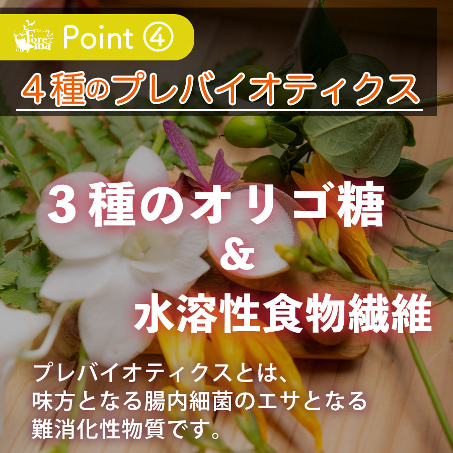 4種のプレバイオティクス:Forema Basis
