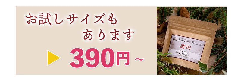 お試しサイズもあります