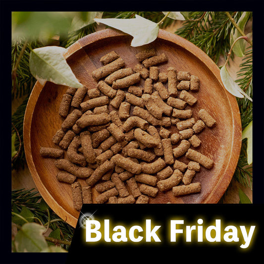 【Black Friday Sale品】犬用 総合栄養食 Forema Basis 猪 (650g)