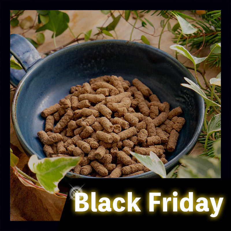 【Black Friday Sale品】犬用 総合栄養食 Forema Basis 鹿 (650g)