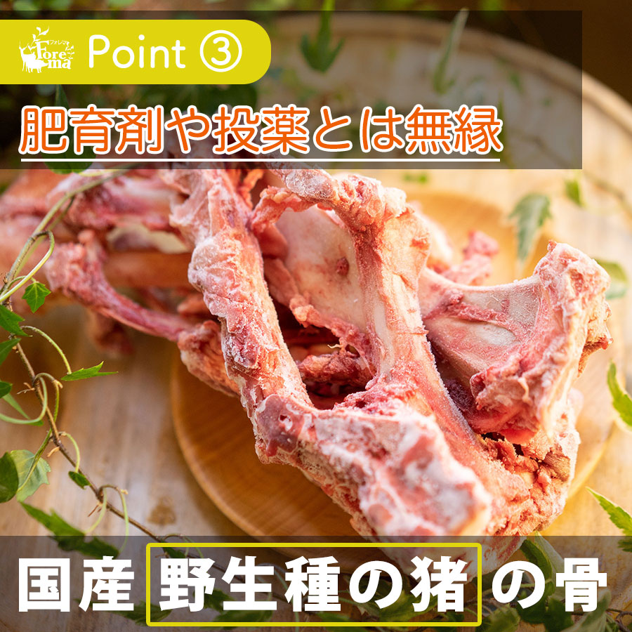 国産野生種の猪の骨が原材料:ボーンブロス