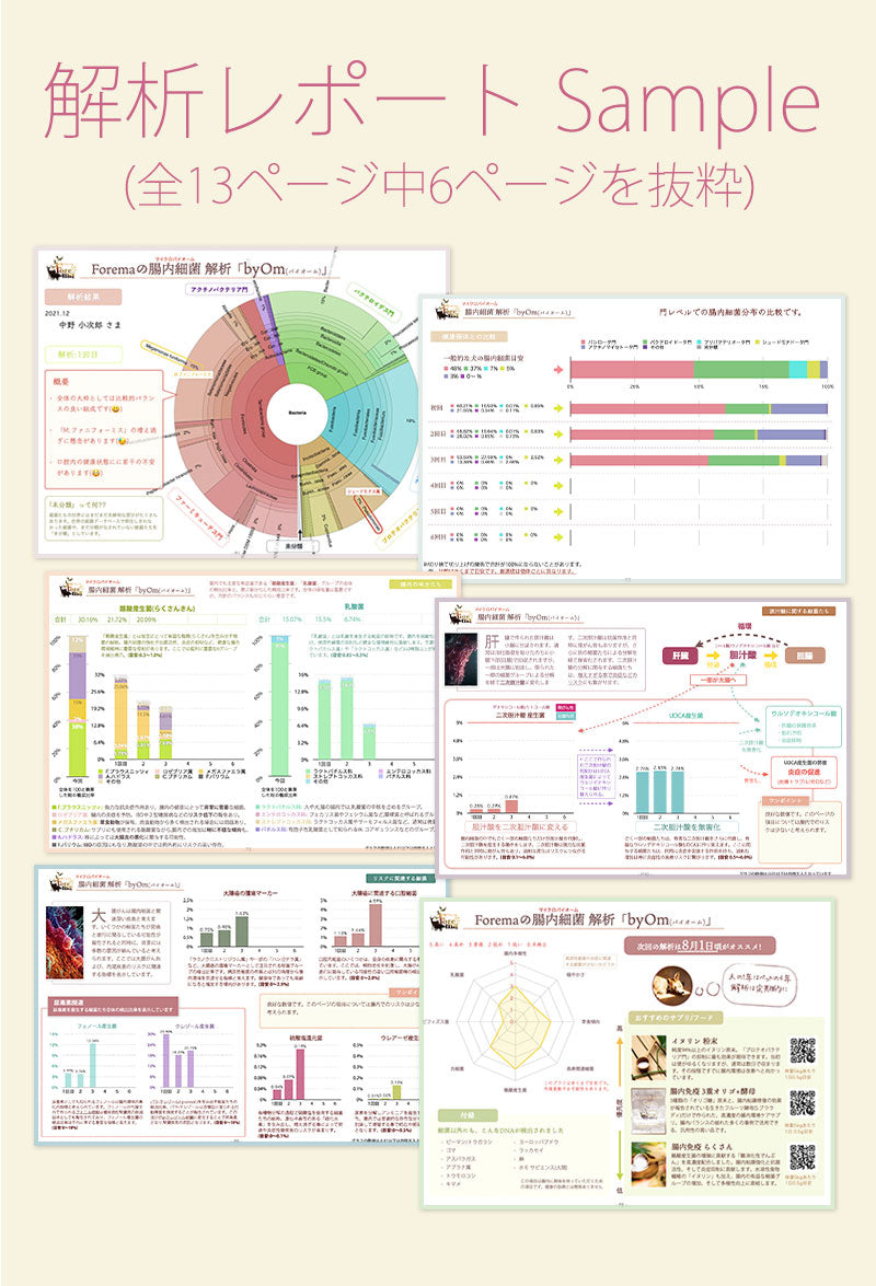 腸内細菌レポート サンプル
