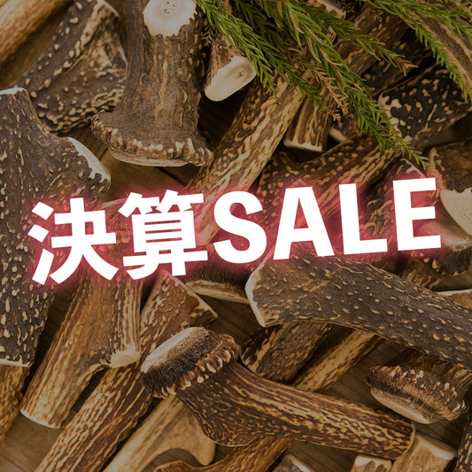 【決算SALE品】鹿角のドッグガム SSサイズ (5本セット)