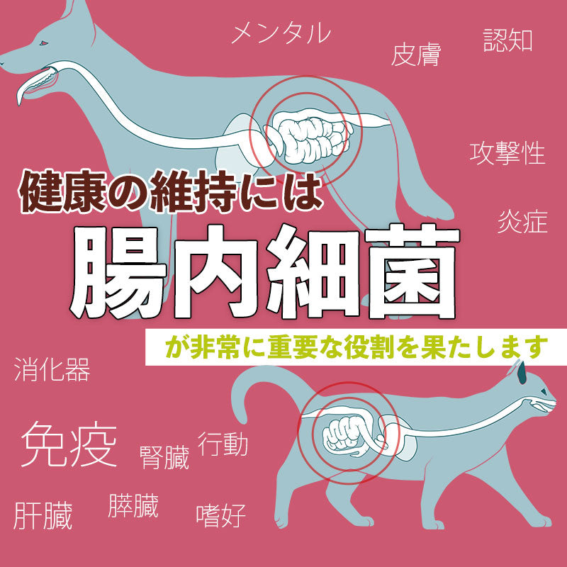 犬と猫のオリゴ糖サプリ 「3重(トリプル)オリゴ+酵母」 – Forema - フォレマ