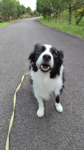 力強く | #1796429