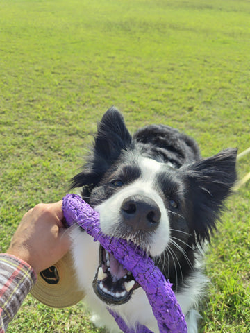 力強く | #1796429