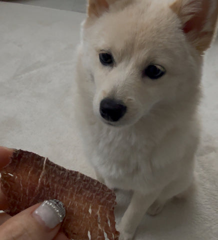 大好きなおやつになりました | #2010879